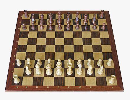 Chess Variant Ideas: Grand Chess, Chess on a really big board